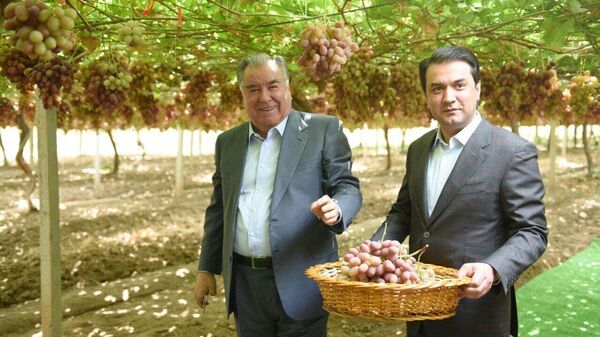 Эмомалӣ Раҳмон аз Турсунзода дидан кард - Sputnik Тоҷикистон