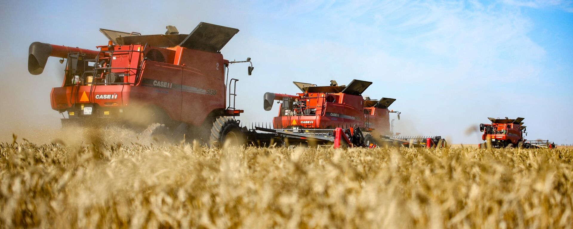 Уборка урожая пшеницы в Волгоградской области  - Sputnik Тоҷикистон, 1920, 20.08.2025