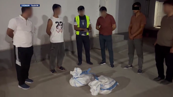 В Узбекистане пресекли ввоз из Таджикистана более 62 кг наркотиков В Узбекистане пресекли ввоз из Таджикистана более 62 кг наркотиков - Sputnik Таджикистан