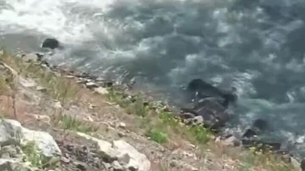 Автомобиль упал в реку на трассе Душанбе-Худжанд: информации о пострадавших нет, сообщает Parviz TV - Sputnik Таджикистан