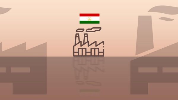 Заглушка для инфографики - Как работали СЭЗ Таджикистана в первом полугодии - Sputnik Таджикистан