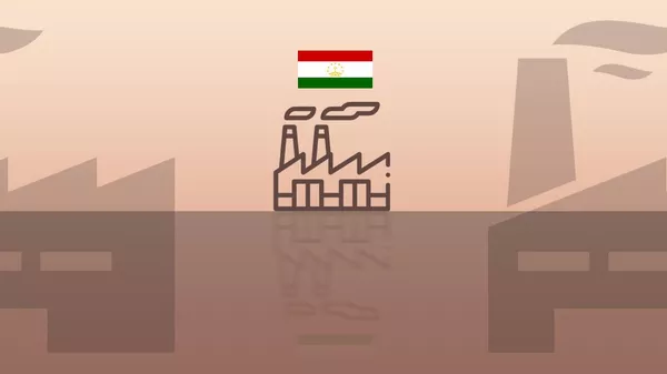 Заглушка для инфографики - Как работали СЭЗ Таджикистана в первом полугодии - Sputnik Тоҷикистон