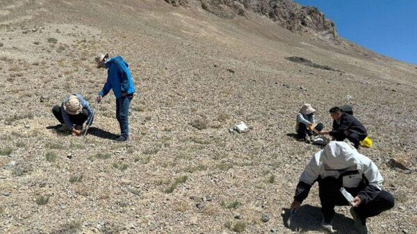 Тоҷикистону Чин кӯҳҳои Помирро меомӯзанд - Sputnik Тоҷикистон