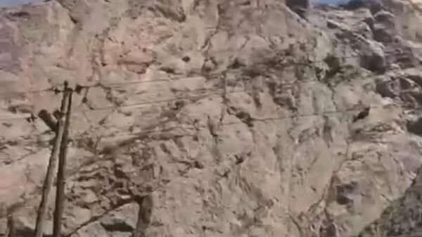 Дар шоҳроҳи Душанбе - Хуҷанд резиши ярч рух дод: талафот нест - Sputnik Тоҷикистон