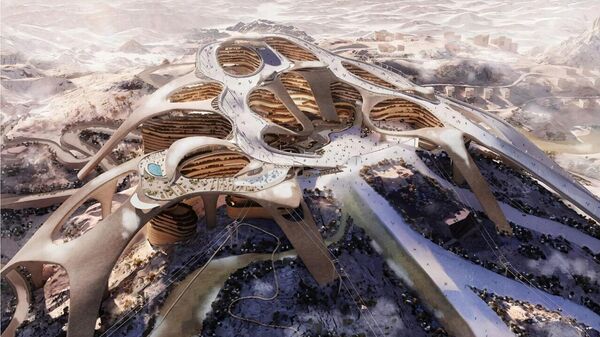 Барфу кӯли сунъӣ гарон меафтад: Арабистони Саудӣ мехоҳад Бозиҳои зимистонаи осиёиро ба ҷои дигар кӯчонад - Sputnik Тоҷикистон