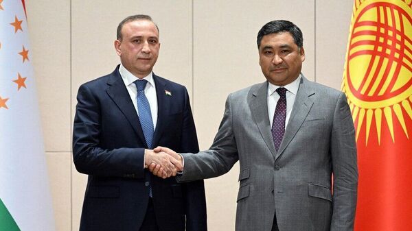 Таджикистан и Кыргызстан расширяют сотрудничество и укрепляют приграничное партнерство - Sputnik Таджикистан