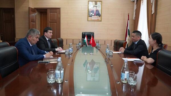 Представители Национальной академии наук Таджикистана и Синьцзянского государственного педагогического университета Китая обсудили перспективы научного сотрудничества - Sputnik Таджикистан