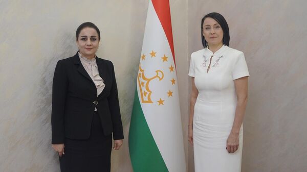 Министр труда, миграции и занятости населения Республики Таджикистан Солеха Холмахмадзода приняла делегацию во главе с заместителем Губернатора Томской области по социальной политике Светланой Николаевной Грузных. - Sputnik Таджикистан