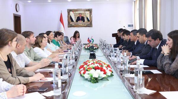 Таджикистан и Томск развивают сотрудничество в сфере образования - Sputnik Таджикистан