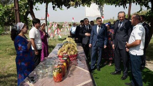 Расулзода дар ноҳияи Кушониён бо корҳои созандагӣ ва хоҷагидорӣ ошно шуд - Sputnik Тоҷикистон