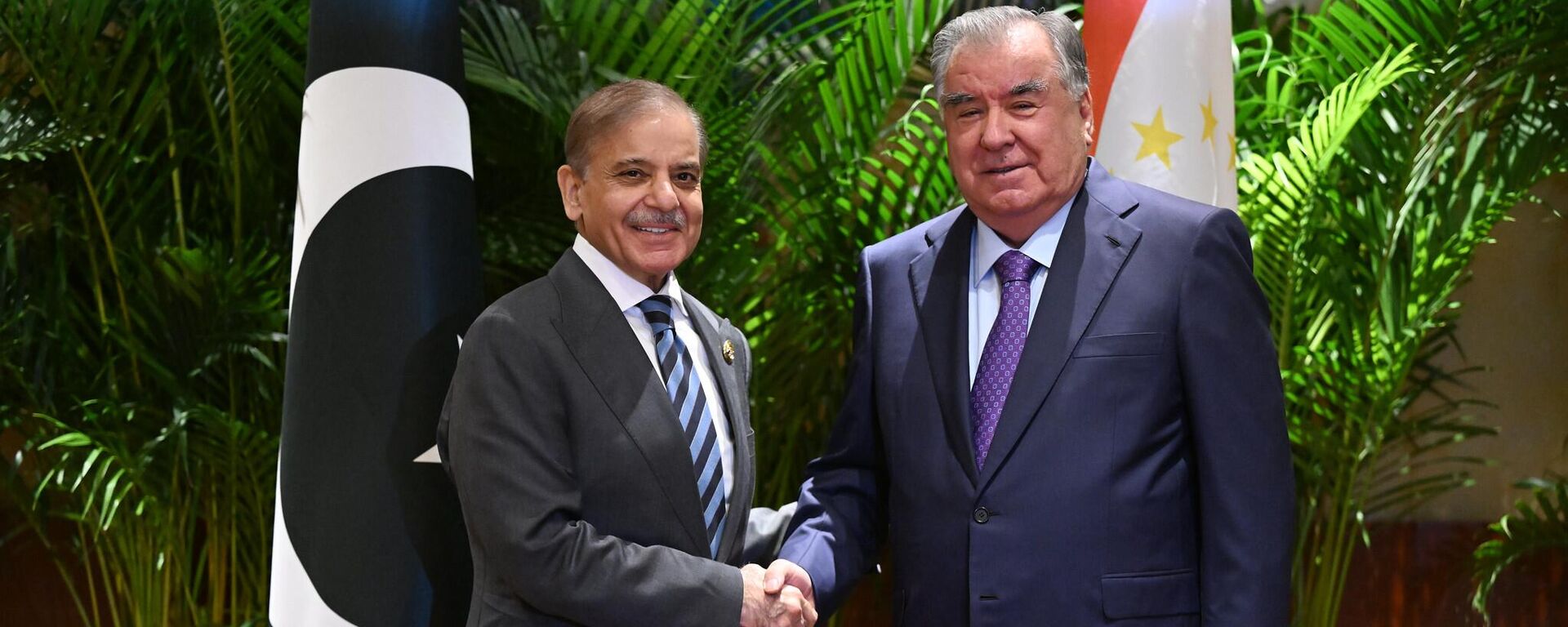 Эмомали Рахмон провёл встречу с премьер-министром Исламской Республики Пакистан Шахбазом Шарифом.  - Sputnik Тоҷикистон, 1920, 02.09.2025