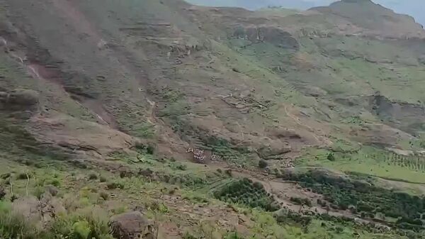 Оползень уничтожил деревню Марра в Судане: погибло более тысячи человек - Sputnik Таджикистан