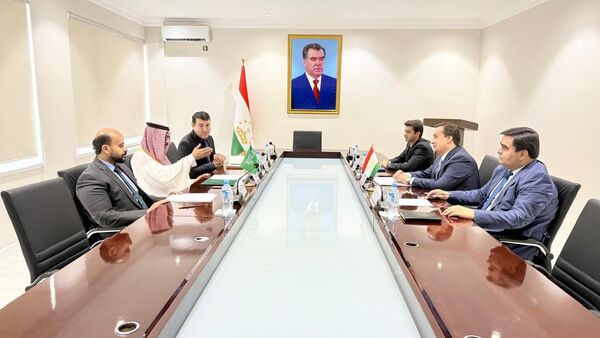 Талоши Тоҷикистону Арабистони Саудӣ барои зиёд намудани парвозҳо - Sputnik Тоҷикистон