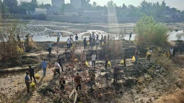 В Душанбе на улицах Сохили, Чорбог, Нуриддин Хувайдуллоев, Дустии Халкхо, Нисор Мухаммади, а также в районе Гипрозем прошла акция по благоустройству Мой вклад в мой город - Sputnik Таджикистан