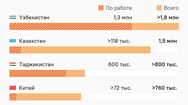 Тоҷикистон ба сегонаи кишварҳое ворид шуд, ки шаҳрвандонашон аз ҳама зиёд ба Русия ворид шудаанд - Sputnik Тоҷикистон