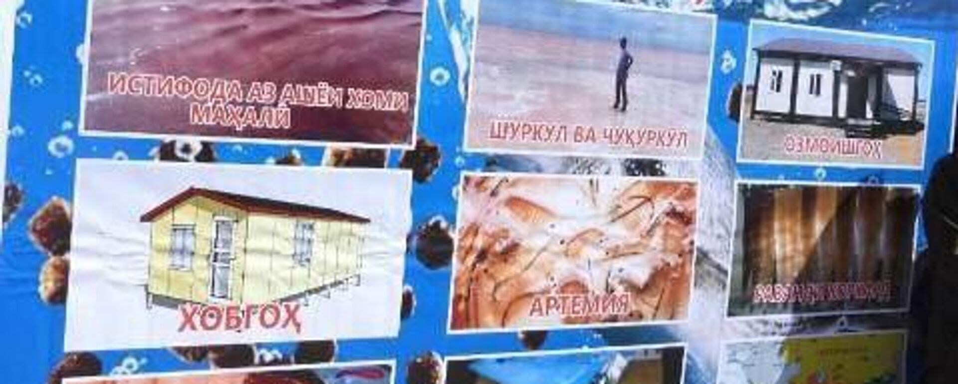 Дар Мурғоб корхонаи тавлиди хӯроки моҳӣ бунёд мешавад - Sputnik Тоҷикистон, 1920, 10.09.2025