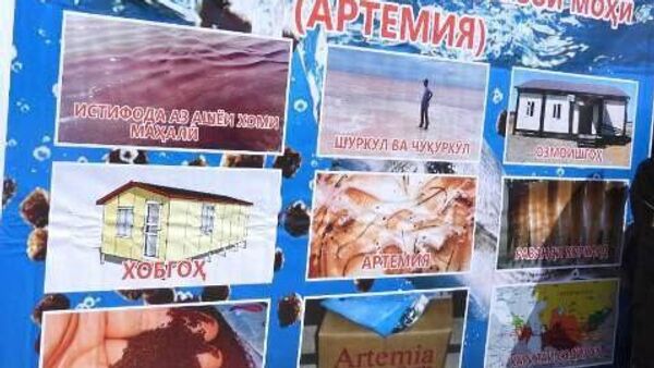 Дар Мурғоб корхонаи тавлиди хӯроки моҳӣ бунёд мешавад - Sputnik Тоҷикистон