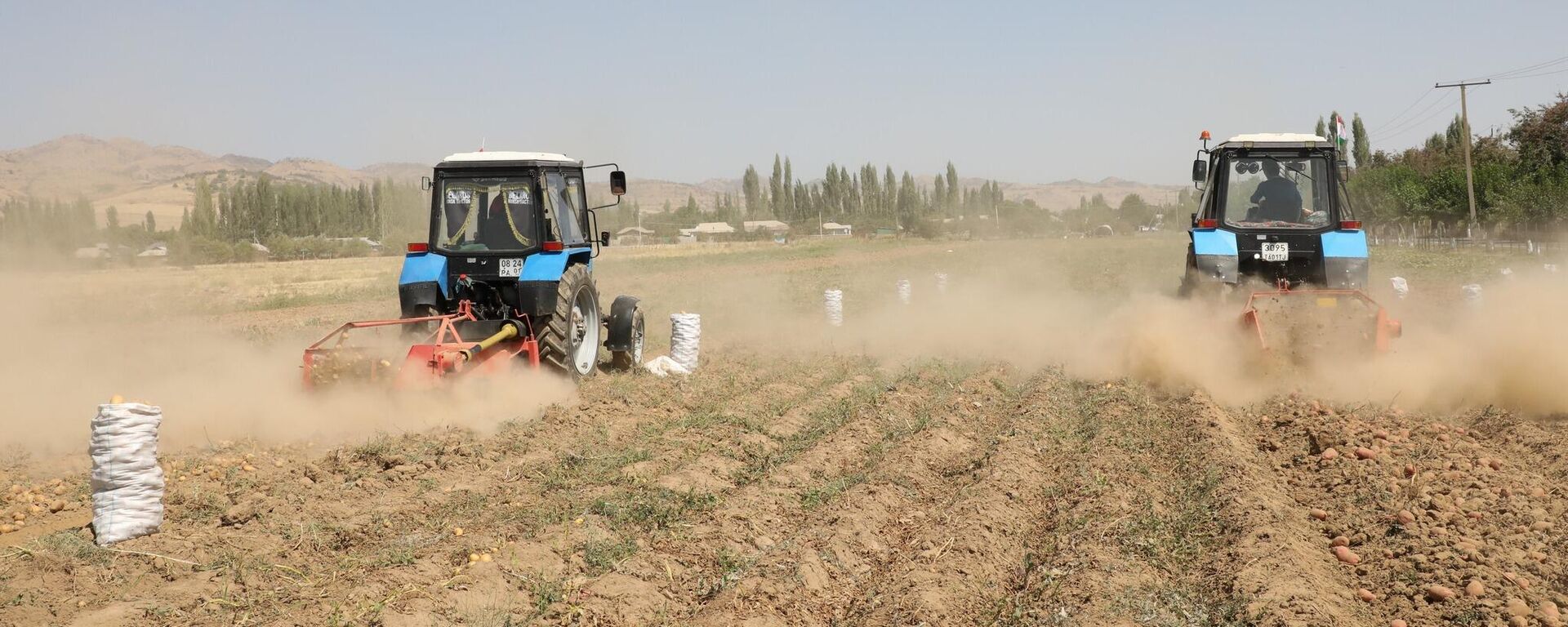 Сбор урожая картофеля в Хатлонской области - Sputnik Таджикистан, 1920, 22.09.2025