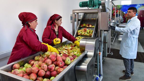 Переработка фруктов. Иллюстративное фото - Sputnik Таджикистан