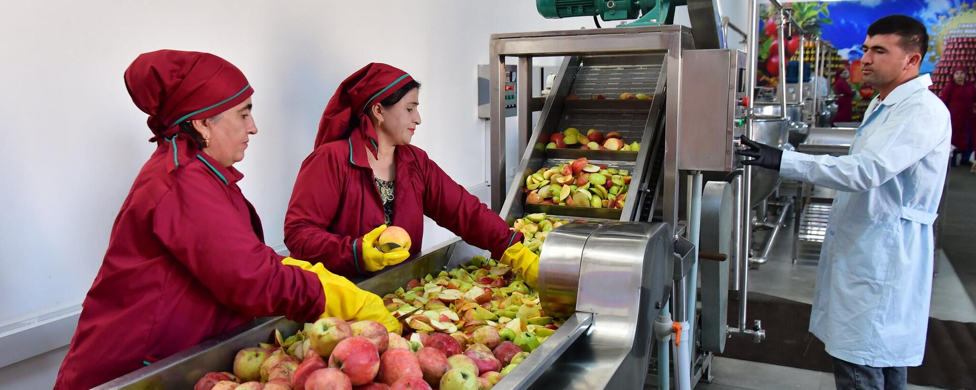 Переработка фруктов. Иллюстративное фото - Sputnik Тоҷикистон, 1920, 18.10.2025