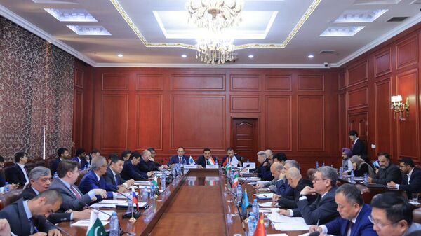 Созмони ҳамкориҳои Шанхай дар Душанбе омодагии худро барои ҳамкорӣ ҷиҳати таҳкими сулҳ, субот ва рушди устувор дар Афғонистон эълом кард - Sputnik Тоҷикистон