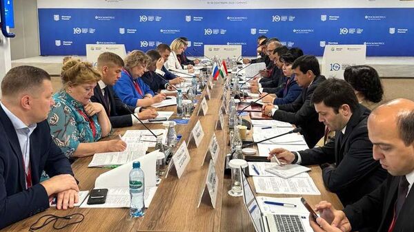 Заседание рабочей группы по вопросам реализации соглашения между правительствами РФ и Республики Таджикистан об организованном наборе граждан Республики Таджикистан для осуществления временной трудовой деятельности на территории России - Sputnik Таджикистан