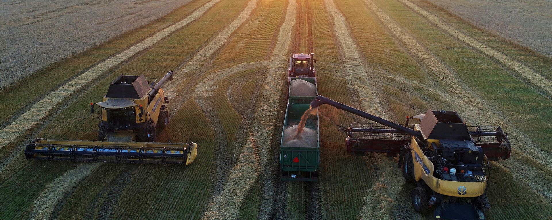 Уборка пшеницы в Красноярском крае  - Sputnik Тоҷикистон, 1920, 18.09.2025