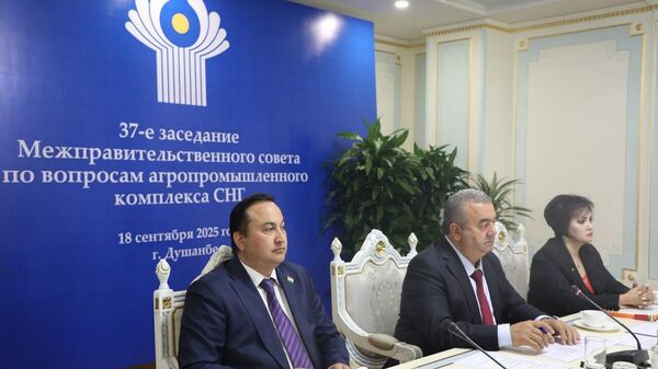 Курбон Хакимзода возглавит межправсовет по АПК СНГ на 2025-2026 годы - Sputnik Таджикистан