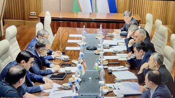 Тоҷикистону Ӯзбекистон таъминоти барқу газро баррасӣ намуданд - Sputnik Тоҷикистон