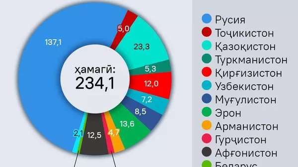 Долонҳои нақлиётӣ дар 13 кишвари минтақаи Авруосиё босуръат рушд меёбанд - Sputnik Тоҷикистон