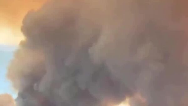 В Турции лесной пожар приблизился к жилым кварталам Антальи из-за сильного ветра - Sputnik Таджикистан