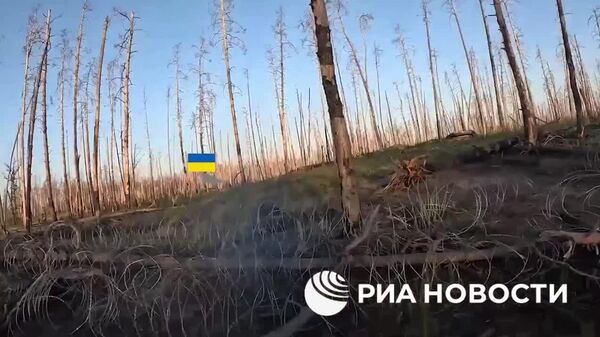 Вазорати дифои Русия навори низомиён бо парчамҳои Русия дар ҷангалҳои самти Серебрянское дар Луганскро нашр кард - Sputnik Тоҷикистон