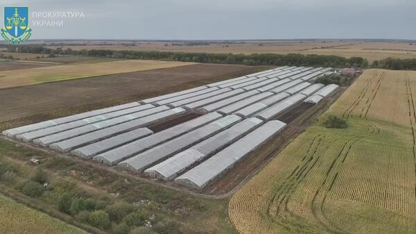 Дар наздикии Киев лагере кашф шуд, ки дар он 13 шаҳрванди Ӯзбекистон ҳамчун ғулом нигаҳдорӣ мешуданд - Sputnik Тоҷикистон