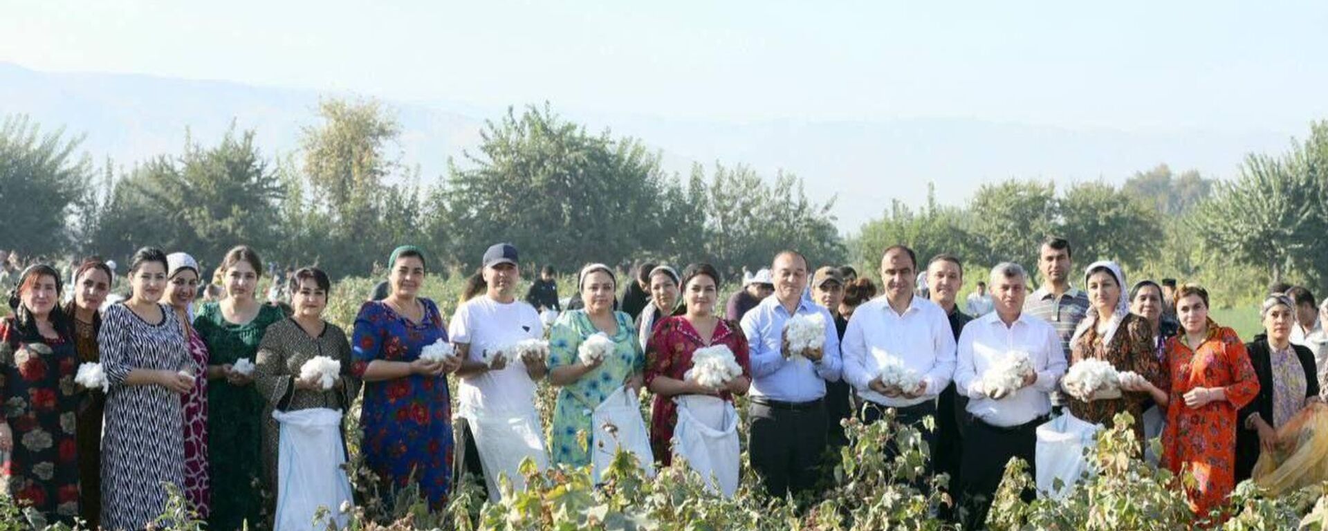 Кормандони шаҳрдории Душанбе дар ҷамъоварии пахта ширкат карданд, хабар медиҳад ҳукумати шаҳр - Sputnik Тоҷикистон, 1920, 20.09.2025