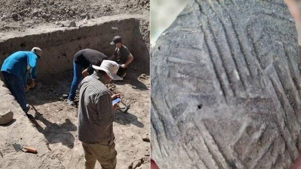 В крепости Бибихонум обнаружили новые артефакты: в том числе образцы зерновых продуктов - Sputnik Таджикистан