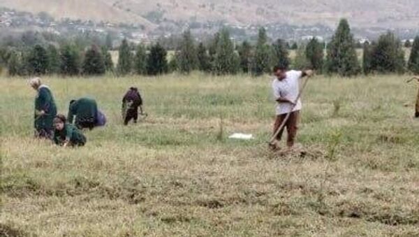 В Нуреке проводят акцию по благоустройству города - Sputnik Таджикистан