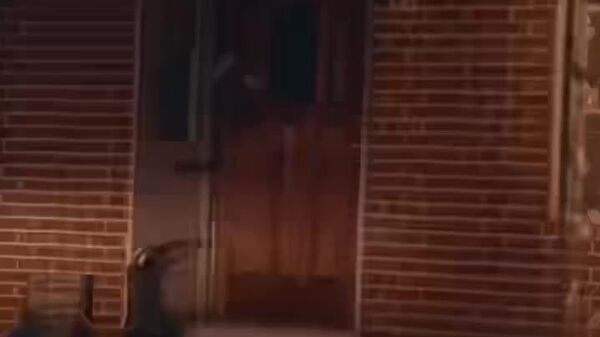 Ловцы покемонов мигрантов - Sputnik Таджикистан