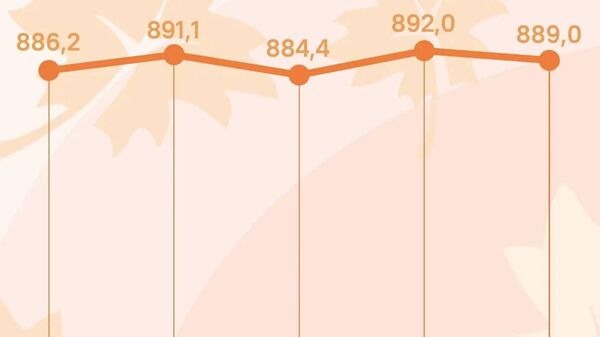 Нархи сомонӣ дар Русия каме поин рафт - Sputnik Тоҷикистон