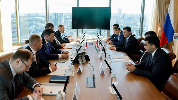 Зиёда аз 10 ширкати бонуфузи Русия барои иштирок дар фаъолияти Парки саноатии муштарак дар шаҳри Душанбе изҳори ҳавасмандӣ намуданд - Sputnik Тоҷикистон