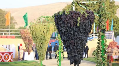 Выставка сельскохозяйственной продукции в  Файзабадском районе.