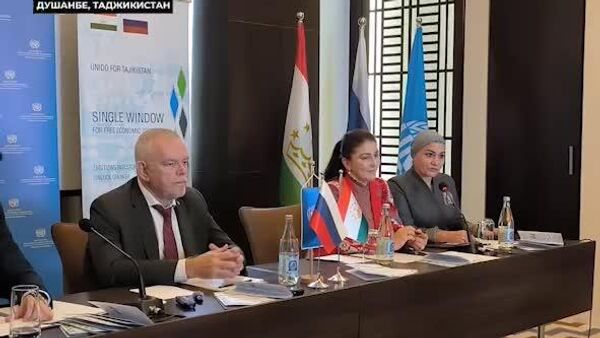 Проект нацплатформы Единое окно для свободных экономических зон представили в Душанбе - Sputnik Таджикистан