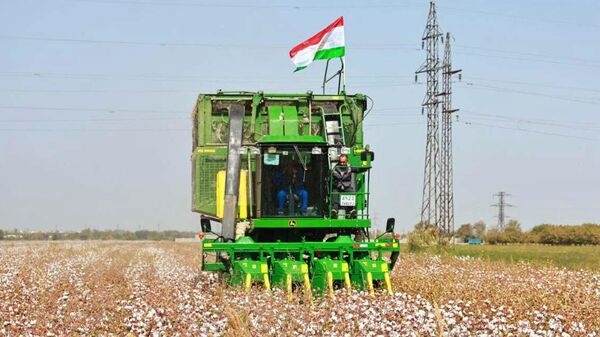 Сбор урожая хлопка. - Sputnik Тоҷикистон