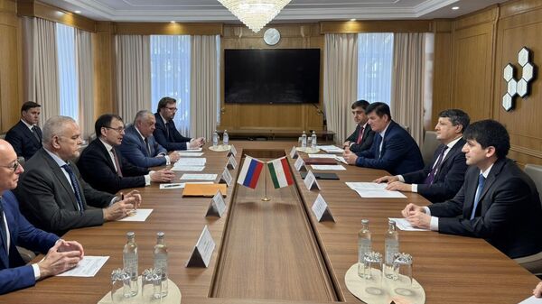 Встреча министра промышленности и новых технологий Республики Таджикистан с заместителем генерального директора Росатом - Sputnik Таджикистан