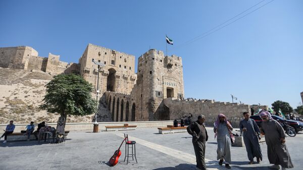 Туристы стоят перед древней цитаделью в Алеппо, Сирия - Sputnik Тоҷикистон