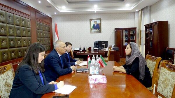 Иран готов представить экспонаты эпохи Саманидов в Таджикистане - Sputnik Таджикистан