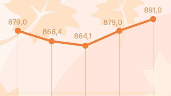 Курс сомони в России прибавит сразу 12 рублей за сотню, следует из данных ЦБ РФ - Sputnik Таджикистан