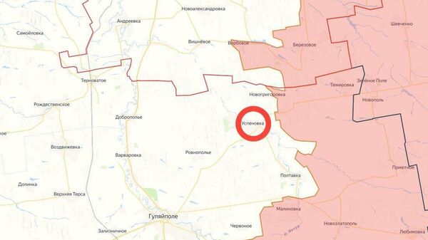 Нерӯҳои Русия минтақаи Нововасилевскоеро дар Запорожйе озод карданд - Sputnik Тоҷикистон