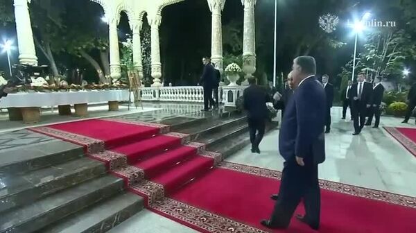 Путина очень заинтересовало дерево в ботаническом саду Душанбе - Sputnik Таджикистан