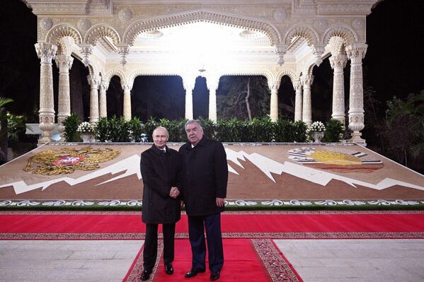 Зимни сайру гашт Путинро дарахте дар боғи ботаникии Душанбе ба худ ҷалб кард. Мутахассиси маҳаллӣ ба раисиҷумҳури Русия гуфт: &quot;Ин як дарахти тропикӣ аст, ки дар Африқо ва Осиёи Марказӣ мерӯяд&quot;. - Sputnik Тоҷикистон