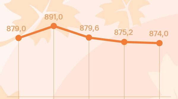 Поинравии нархи сомонӣ дар бозори арзи Русия идома дорад - Sputnik Тоҷикистон